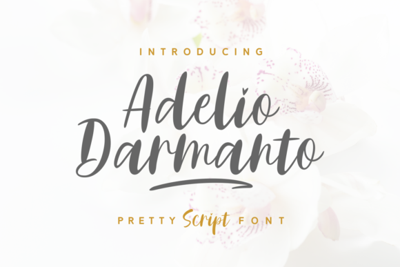 Adelio Darmanto: A Delicate Script Font for Feminine Branding