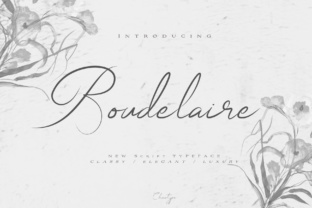 Boudelaire: The Font That Elevates Your Brand’s Visual Story