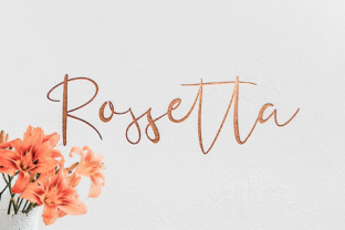 Designing with Rossetta: A Script Font for Editorial Excellence