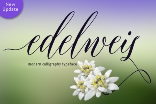 Edelweis: A Timeless Script Font for Modern Web Design