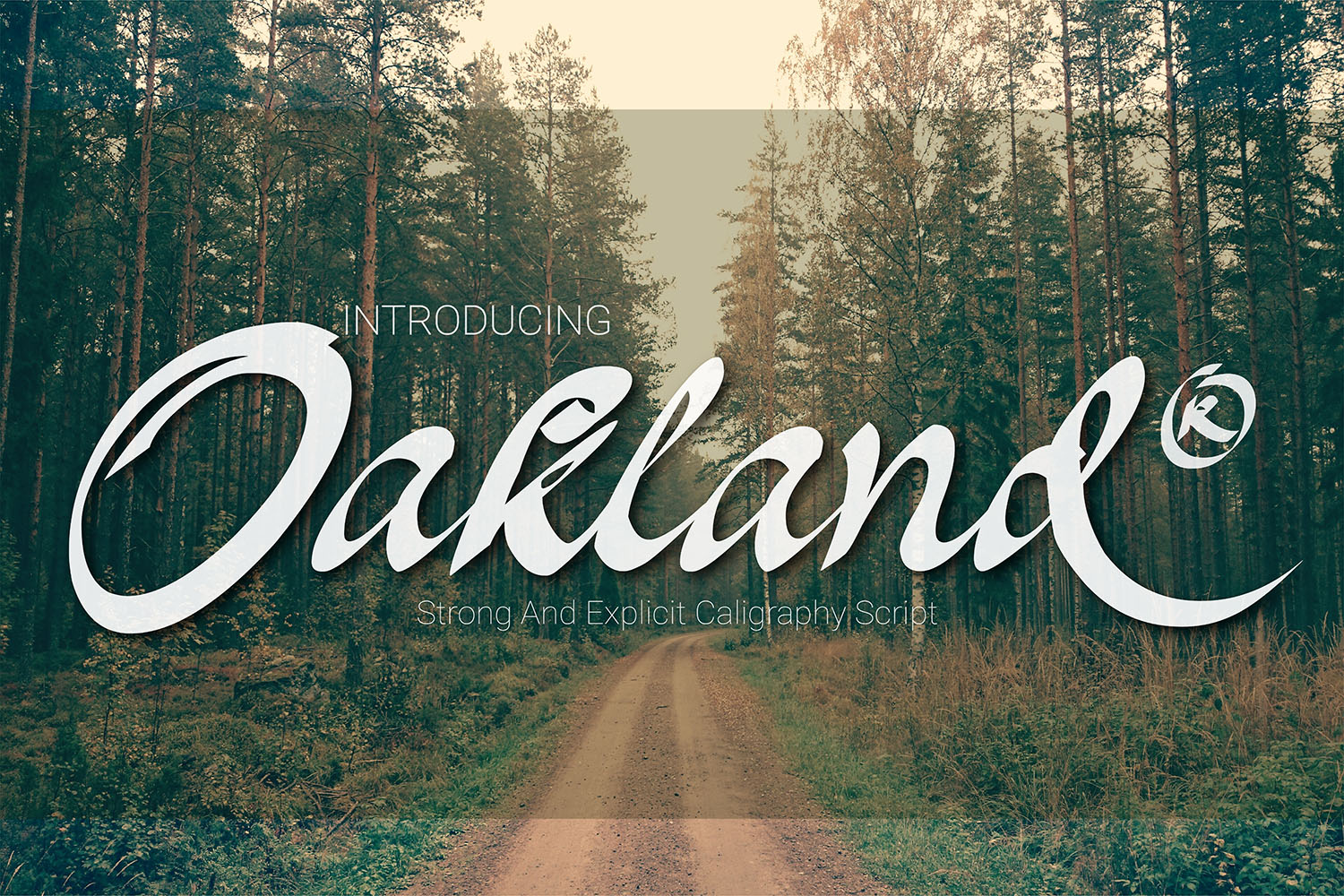 Font Choice That Works: Oakland for Modern Web Design