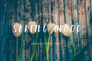Spring Mood: A Font for Springtime Branding